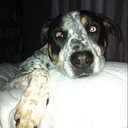 Milo Jenkins - @MiloJenkins - Twitter