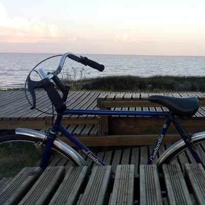 mariofdraiye's profile picture. Mereces lo que sueñas...no me jodas...