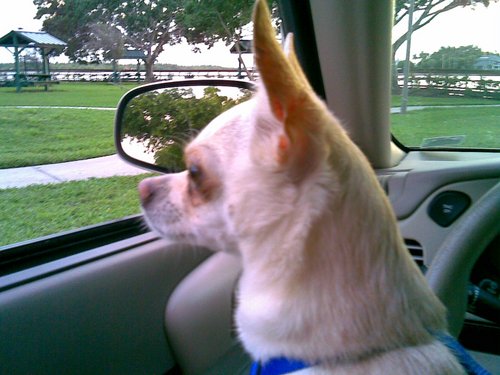 perrymdp's profile picture. I'm not crazy, just a little unwell... Happy Happy Joy Joy