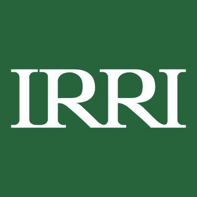 IRRI 🌾 Profile