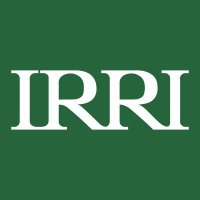 IRRI 🌾 (@irri) 's Twitter Profile