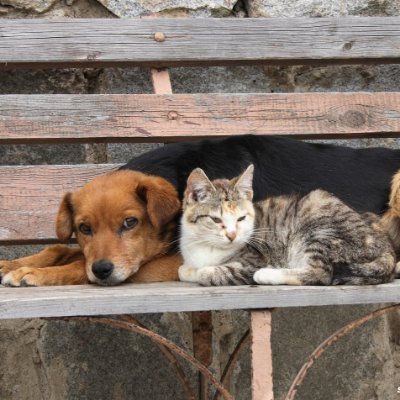 Helpani68997499's profile picture. 