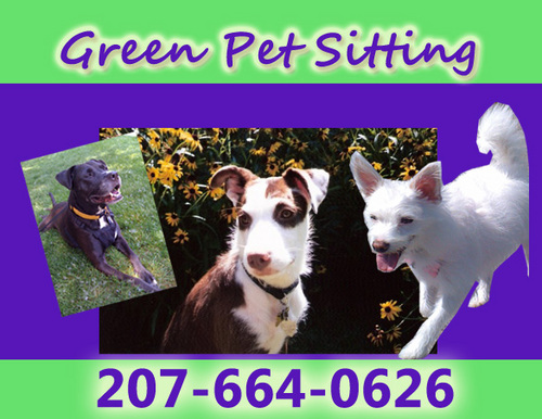 greenpetsitting's profile picture. Your animals can rest secure in the comfort of their own home with our overnight petsitting services. 10% of our fees go to the SPCA of Hancock County.