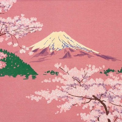 Profile Picture of Dhara Imbuldeniya Punchi Kumarihamy (@DharaPunchi) on Twitter