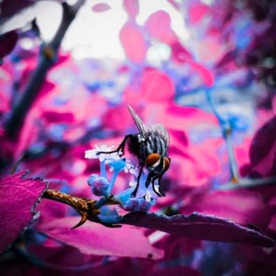 PaaraSon's profile picture. John son