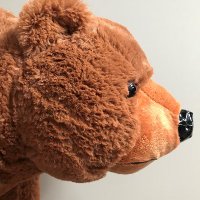 Grade 1/2 Grizzlies (@pcameronocsb) 's Twitter Profile Photo Grade 1/2 Grizzlies (@pcameronocsb) 's Twitter Profile Photo