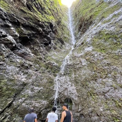 ArceyH33's profile picture. 