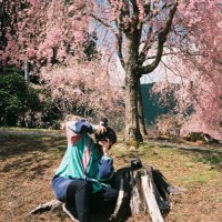 海地 (@kaichi_photo) 's Twitter Profile Photo 海地 (@kaichi_photo) 's Twitter Profile Photo