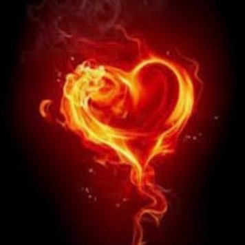 f4e_amir's profile picture. 