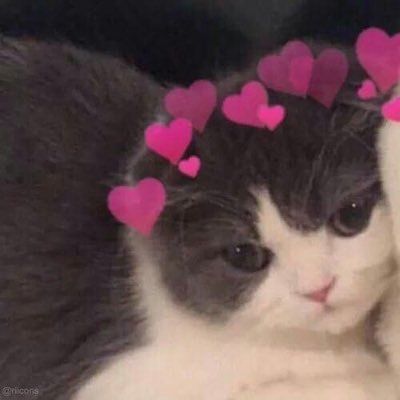 aishahysfndi's profile picture. hayit