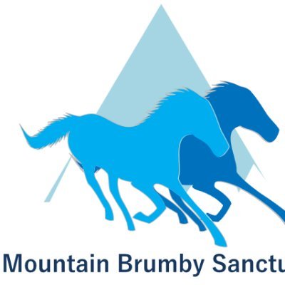 The Mountain Brumby Sanctuary in Broadford Victoria is committed to helping Australias wild horses, Brumbies, find homes. We Save, Train and Rehome Brumbies.