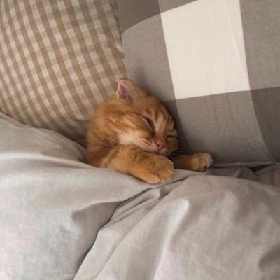 cryptofan777's profile picture. 