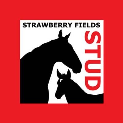 Strawberry Fields Stud Profile