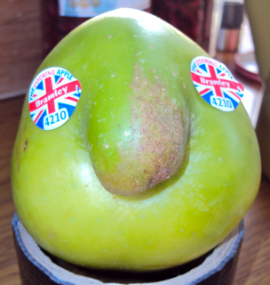 beautbramley's profile picture. Celebrating Bramley's good stuff, spreading the beauty.