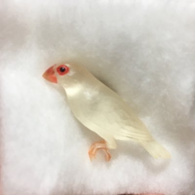 如月ハル(青桜)さんのプロフィール画像