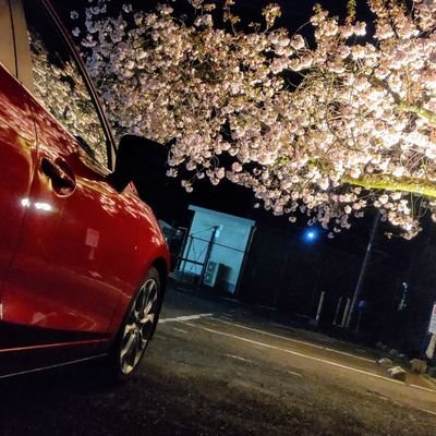 94(くし)さんのプロフィール画像