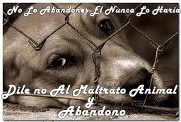 Siguenos en facebook No Lo Abandones El Nunca Lo Haría Contra El Maltrato y Abandono