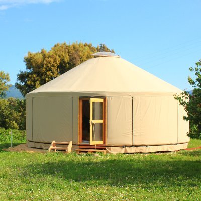 djyourte's profile picture. 