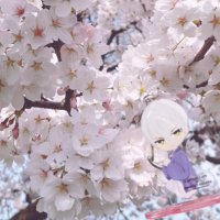 おとぎ@ツイフィ必読 (@pipipi_chaaf04) 's Twitter Profile