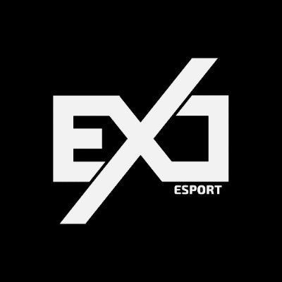 French Esports Organisation - Owned by @kyze200iq