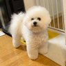 munyagu's profile picture. お客様のビジネスの一助となるためのウェブサイトを生み出し活用するためのエンジニアをしています