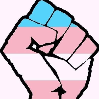 Trans Liberation is a news, education, support and campaigning organisation for the trans community.