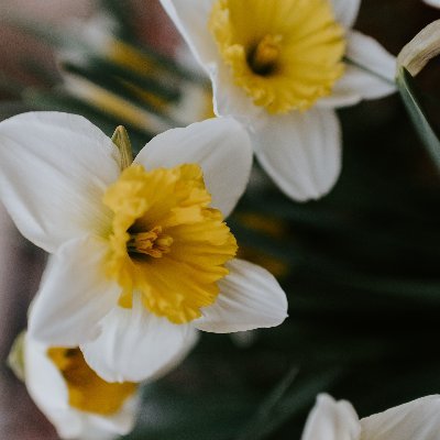 PPCIndia's profile picture. Interested to learn more about web