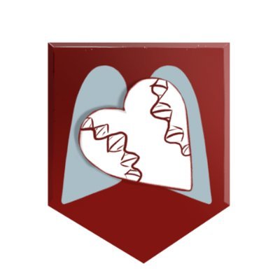 Stanford BASE Profile