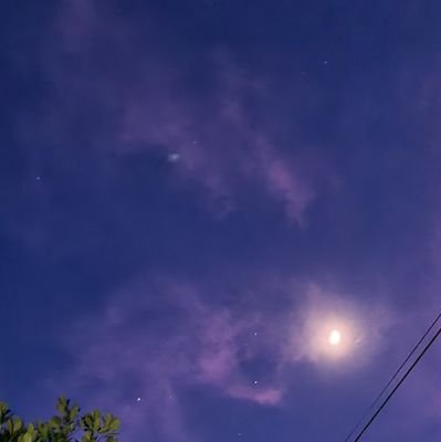 noir32_'s profile picture. 