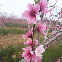 غروب 2 (@r5vbix4rpzykssd) 's Twitter Profile
