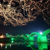 亀仙人 (@xqsn3gfomgahter) Twitter profile photo