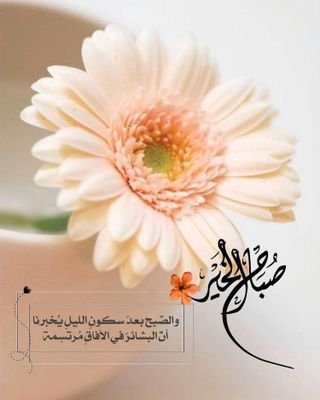 c2MxRUtTGnVhXTg's profile picture. الافلام... الشوكلاته ...ريال مدريد........رونالدو العشق