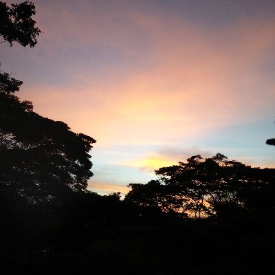 jeunemama's profile picture. Be Kind. Be grateful. Earn your day. Live for a higher purpose. Serve God. Serve humanity. Be passionate. Rest. Repeat