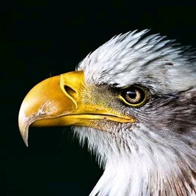 MiltonReigns's profile picture. lies can never be forgotten even when lured