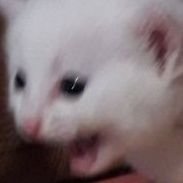 VE1kOLXbQ4XVLCe's profile picture. Я вечно хочу спать просто всегда и везде и сейчас я тоже хочу спать👏
Люблю ныть ещё🤭