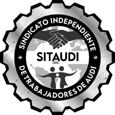 Perfil Oficial del SITAUDI México, Gestión 2020-2026