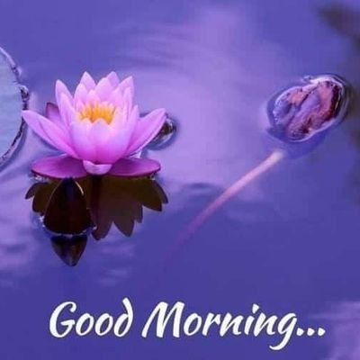 Rain3681's profile picture. 