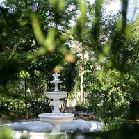 Graceland Conference & Lifestyle Centre (@gracelandlodge) Twitter profile photo