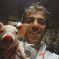 Héctor Argüello (@harguellorguez) 's Twitter Profile