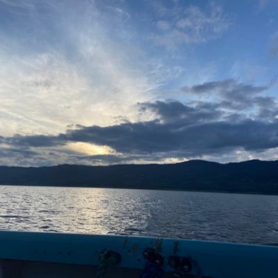 DaVinci8811's profile picture. 'la felicidad también es una enfermedad'