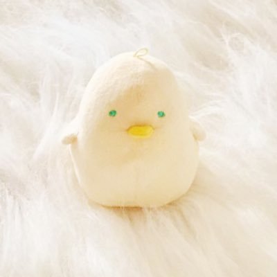 👴korn👨さんのプロフィール画像