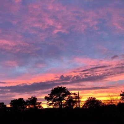 estefan88491327's profile picture. 