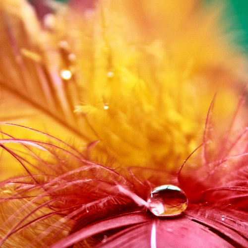 Nashwareda's profile picture. 