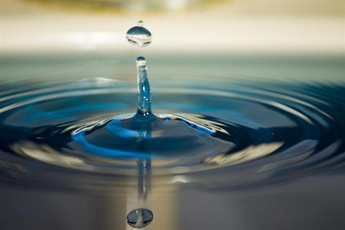 sec_cm's profile picture. 