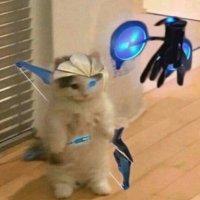 Sam (@sambaldy_) 's Twitter Profile