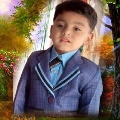 Islamic Erudite
BS.Islamic studies & الشہادة العالمیہ والعلوم الاسلامیہ
From Minhaj University Lahore
Working as a Govt teacher &Online Teaching