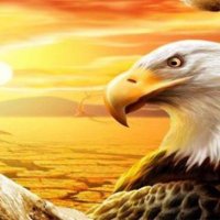 الصقر الرقمى (@mohamed64190296) 's Twitter Profile