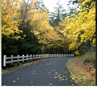 Columbia Gorge, marathon, half marathon, Fall