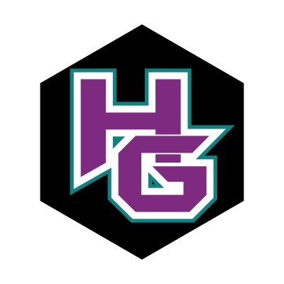 HexzyGaming Profile Picture