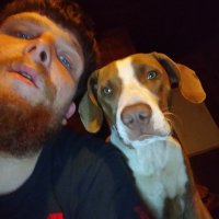 David Bass (@davidba93605823) 's Twitter Profile